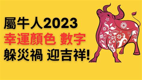 2023屬牛運勢|【屬牛2023生肖運勢】財運漸入佳景，感情運喜中帶。